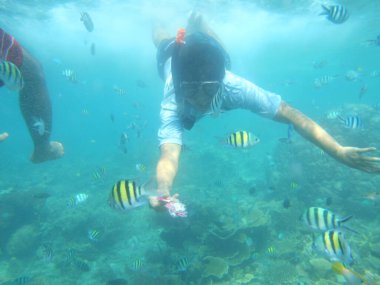 Tidung Adası 'nda şnorkelle yüzmek, Jakarta