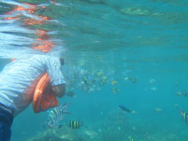 Tidung Adası 'nda şnorkelle yüzmek, Jakarta