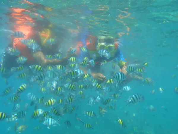 Snorkeling Tidung Island Jakarta — Stock Photo, Image