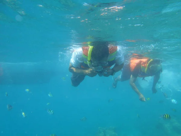 Mergulho Com Snorkel Ilha Tidung Jacarta — Fotografia de Stock