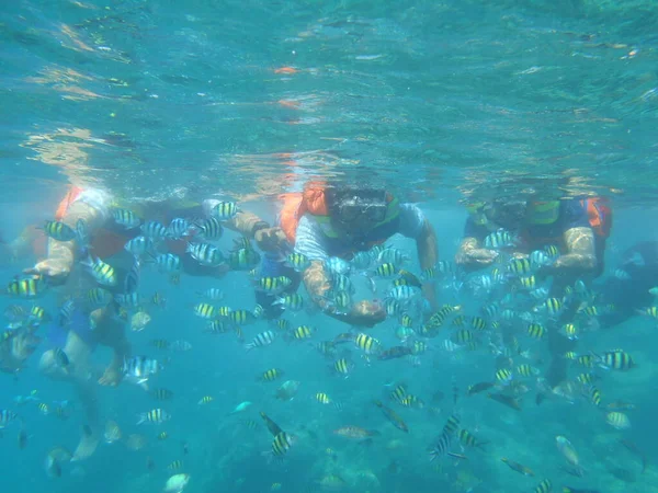 在雅加达提东岛浮潜 — 图库照片