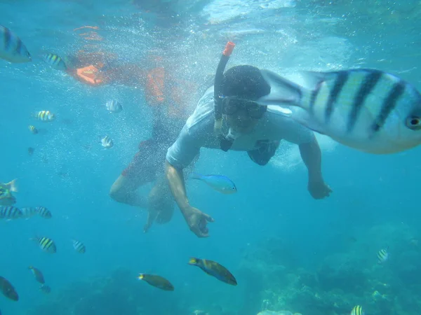 Tidung Adası Nda Şnorkelle Yüzmek Jakarta — Stok fotoğraf