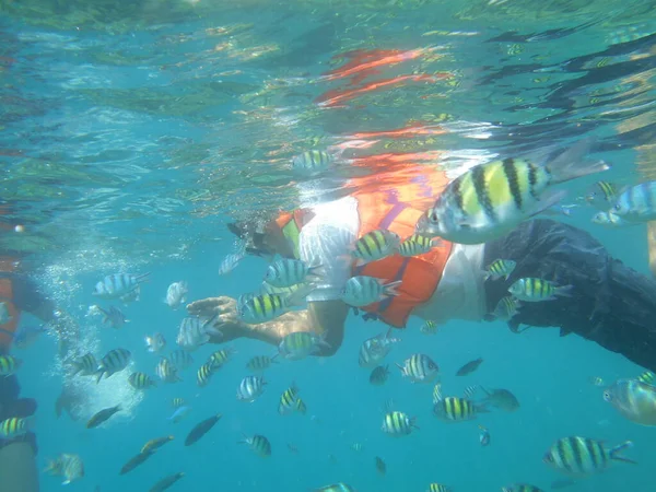 Підводний Човен Острові Тідунг Джакарта — стокове фото