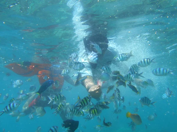 ジャカルタのティドン島でシュノーケリング — ストック写真