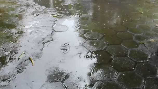 Geceleri Kaldırım Taşlarında Yağmur Damlaları Yağmurlu Mevsim Konsepti — Stok video