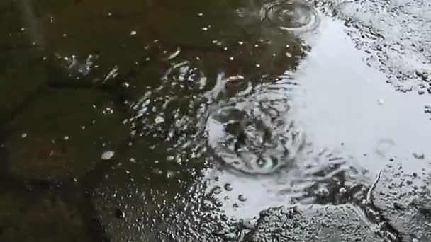 Geceleri Kaldırım Taşlarına Yağmur Damlaları Yağar Yağmurlu Mevsim Konsepti Görüntü — Stok video
