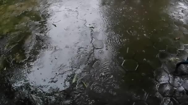 Geceleri Kaldırım Taşlarına Yağmur Damlaları Yağar Yağmurlu Mevsim Konsepti Görüntü — Stok video