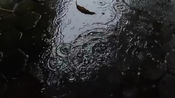 Geceleri Kaldırım Taşlarında Yavaş Yağmur Damlaları Yağmur Mevsimi Konsepti Görüntü — Stok video