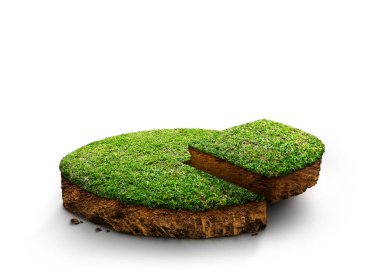 3D Illustration, yuvarlak toprak zemin kesiti toprak arazi ve yeşil çimen ile, arazi çeşitli planları ayırmak için bölünmüştür. Gerçekçi zemin ekolojisi beyaz arkaplanda izole.