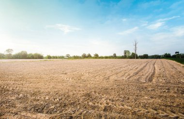 Kuru, çatlak bataklık ıslah toprağı, konut inşaatı için arazi arazi, kırsal alanda araba lastiği izi ve temiz hava ile güzel mavi gökyüzü. Satış arazisi konsepti için arazi..