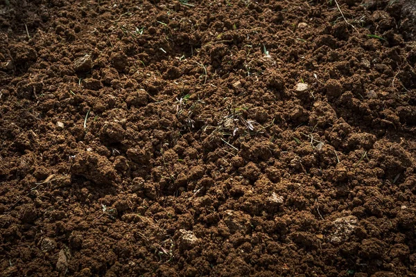 Textured fertile soil  for cultivation as background. The potting soil or peat is suitable for gardening and is one of the four natural elements.  Land is life for our planet earth. Gardening season.