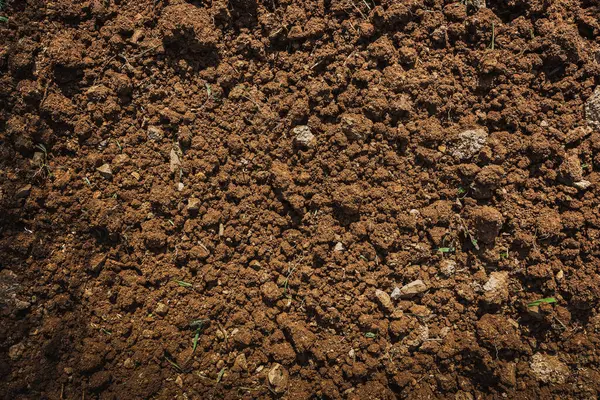 Textured fertile soil  for cultivation as background. The potting soil or peat is suitable for gardening and is one of the four natural elements.  Land is life for our planet earth. Gardening season.