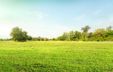Empty dry cracked swamp reclamation soil, land plot for housing construction Green meadow, beautiful views and beautiful blue sky with fresh air Land for sales landscape concept.