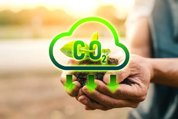 Karbondioksit salınımı konseptini azalt. Yenilenebilir enerji tabanlı yeşil işletmeler iklim değişikliği ve küresel ısınmayı sınırlayabilir. Karbondioksit emisyonu olmayan temiz ve çevre dostu bir ortam.