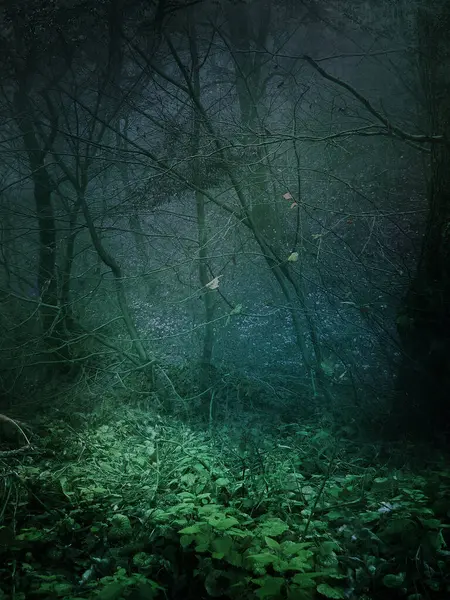 Doğa ormanı önceden hazırlanmış arka plan