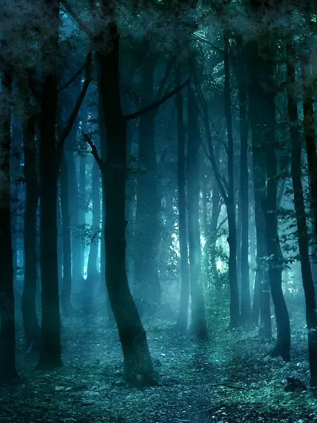 Doğa ormanı önceden hazırlanmış arka plan