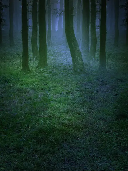 Doğa ormanı önceden hazırlanmış arka plan