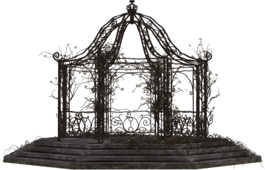 Ağaç örtüsü sarmaşıklarla kaplı.