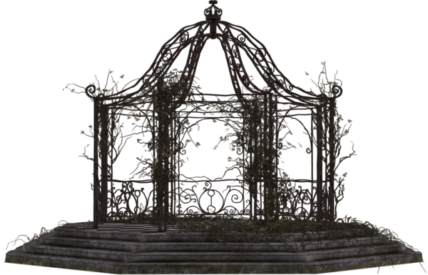 Ağaç örtüsü sarmaşıklarla kaplı.