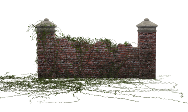 Sarmaşıklı koyu tuğlalı çit