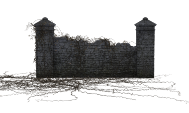 Sarmaşıklı koyu tuğlalı çit