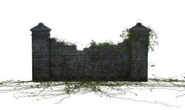 Sarmaşıklı koyu tuğlalı çit