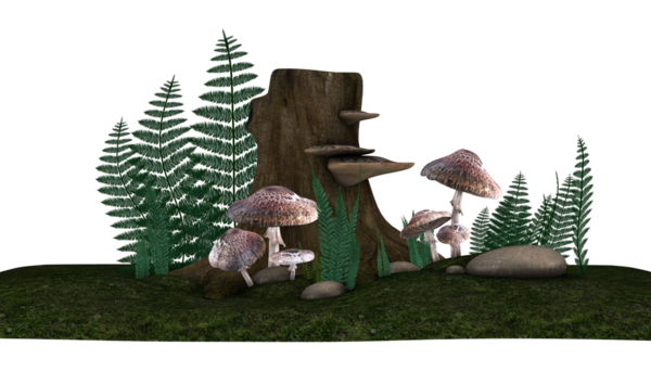 Mantar ve ağaç kökü arkaplanı