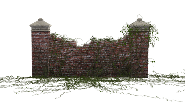 Sarmaşıklı koyu tuğlalı çit