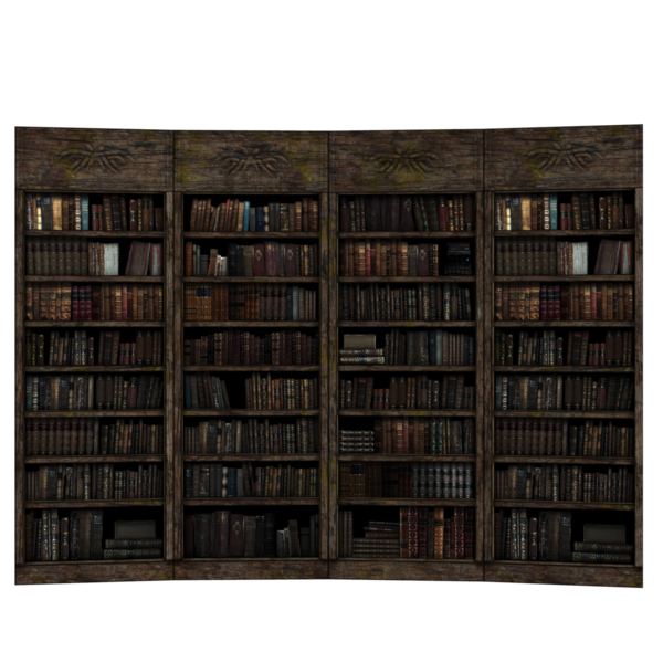 Yaşlı büyücünün fantezi kitaplığı 