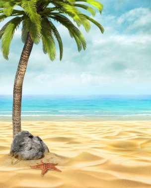 Yaz plajı günü geçmişi