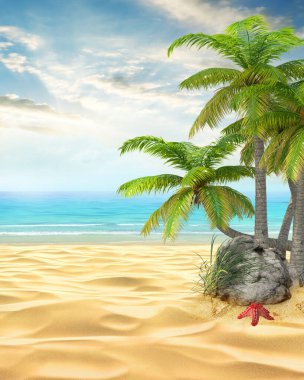 Yaz plajı günü geçmişi