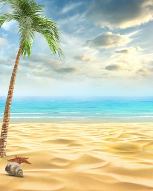 Yaz plajı günü geçmişi