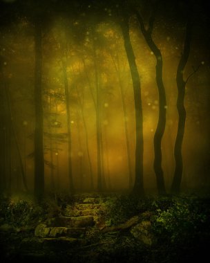 Esrarengiz derin orman geçmişi