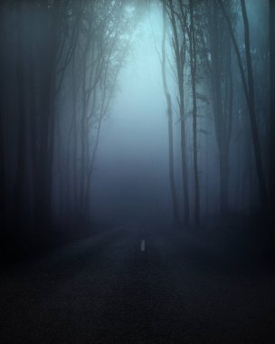 Esrarengiz derin orman geçmişi