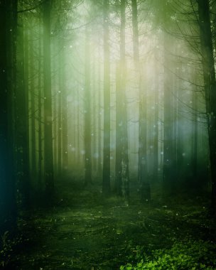 Esrarengiz derin orman geçmişi