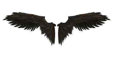 Bir çift tüylü kanat.