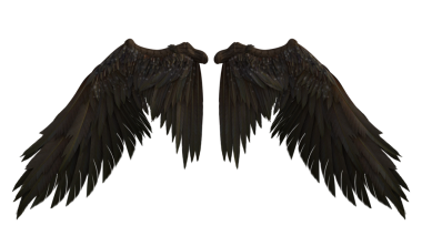 Bir çift tüylü kanat.