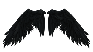 Bir çift tüylü kanat.