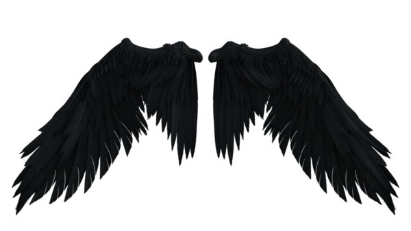 Bir çift tüylü kanat.