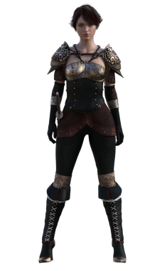 Ortaçağ zırhlı kadın.