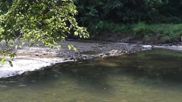 Vues Ruisseau Eau Construction Réservoirs Détournements — Video