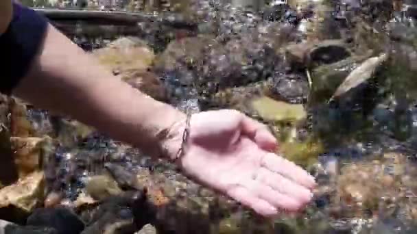 Dişi Akan Bir Derede Taşır Suyun Zemini Güzel Kayalarla Doludur — Stok video