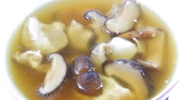 Close Homemade Food Stewed Pork Chinese Herbs Mushrooms — Stock Video