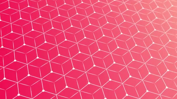 Pattern Geometric Elements Pink Gold Tones Vector Abstract Gradient Background — Stock Video