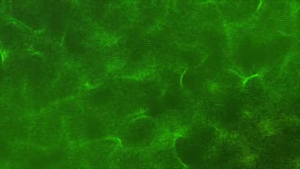 緑色の背景にある3次元抽象的な緑色の光粒子の音波パターン 音のスペクトルダンス 音波アニメーション — ストック動画