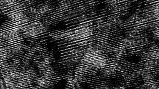 Abstrait Technologie Numérique Animé Particules Lumière Blanche Sur Fond Noir — Video