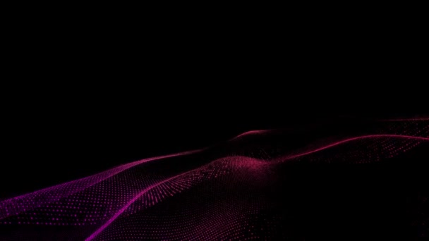 Tecnología Digital Abstracta Animada Partículas Luz Rosa Sobre Fondo Negro — Vídeos de Stock