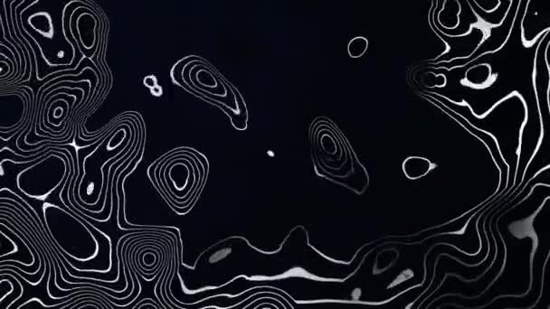 Скрученный Черно Белый Градиент Жидкостного Движения Размытие Абстрактных Фонов — стоковое видео
