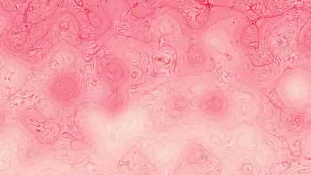 Twisted Rosa Gradiente Liquido Movimento Sfocatura Sfondi Astratti — Video Stock