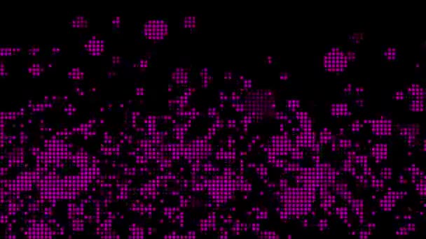 Halftone Dots Abstract Digital Technology Animated Pink Light Black Background — Stock Video